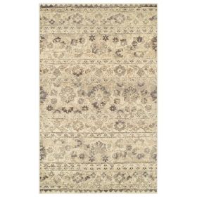 Fawn Distressed Floral Stripes Area Rug (Color: Beige, size: 4'x6')