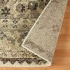 Fawn Distressed Floral Stripes Area Rug