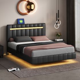 Queen Size Floating Bed Frame with LED Lights and USB Charging,Modern Upholstered Platform LED Bed Frame (Color: Black)